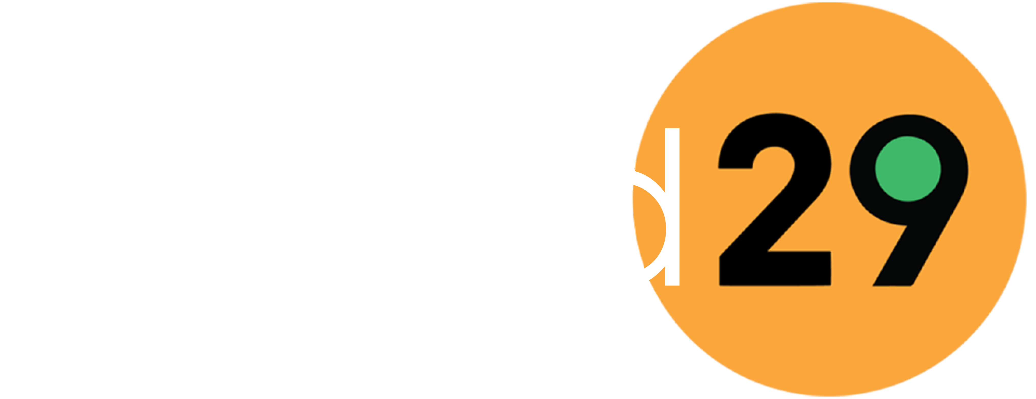 Around29 IT Services Pvt Ltd Logo